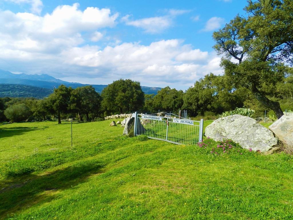 Monti Chicchiritanos Bed & Breakfast エクステリア 写真